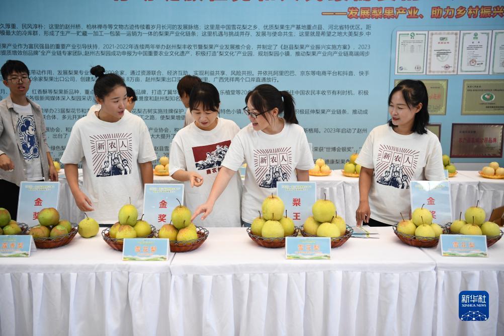 og视讯官网